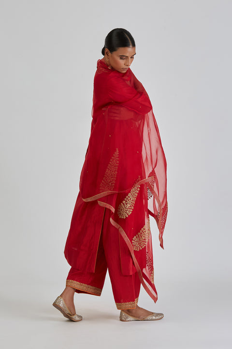 Kamya Dupatta-Red