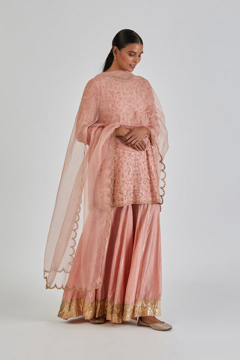 Shruti Dupatta-Salmon Pink