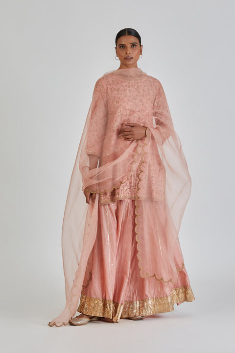 Shruti Dupatta-Salmon Pink