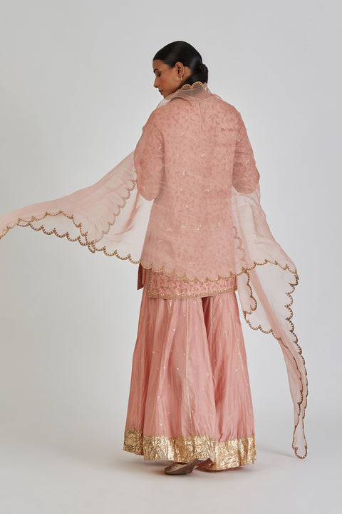 Shruti Dupatta-Salmon Pink