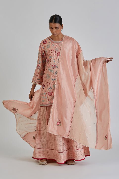 Zulekha Kurta and Sharara-Salmon Pink