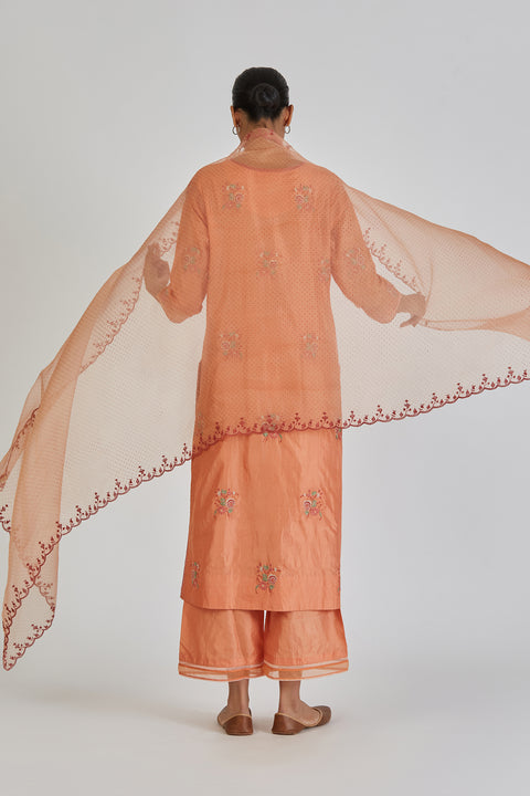 Komal Dupatta-Light Orange