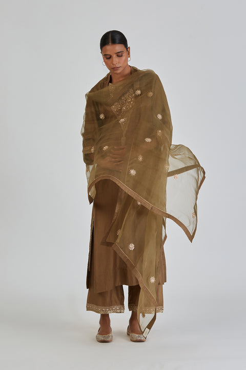 Saba Dupatta-Mehendi green