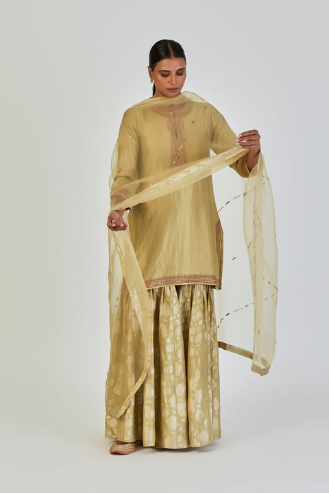 Nutan Kurta and Sharara-Sea Green