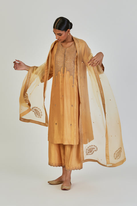 Myra Dupatta-Yellow
