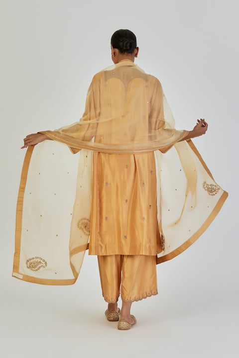 Myra Dupatta-Yellow