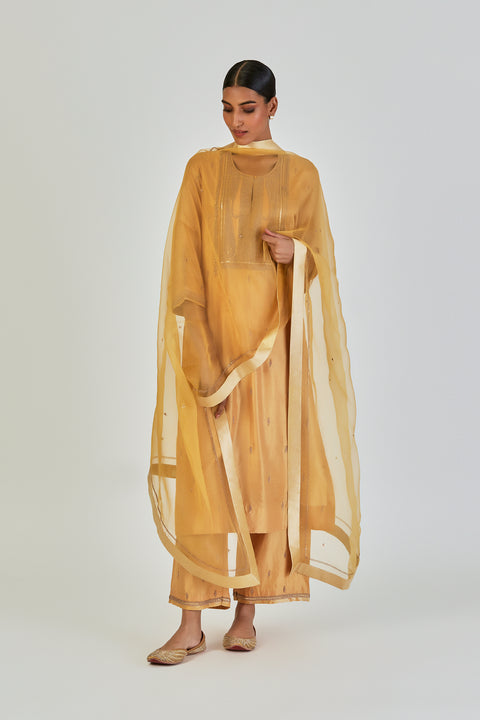 Shrisha Kurta and Pant-Yellow