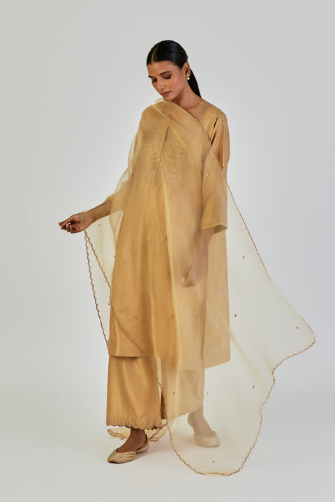 Saloni Dupatta-Yellow