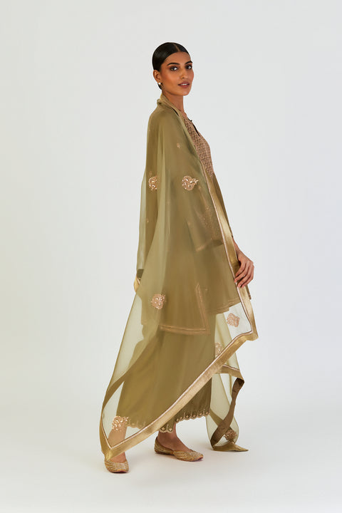 Nonita Dupatta-Mehendi Green