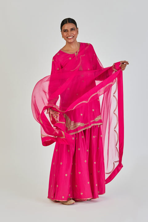Adiya Kurta and Sharara-Pink