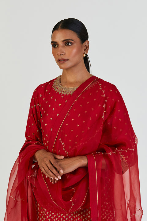 Akina Dupatta-Maroon
