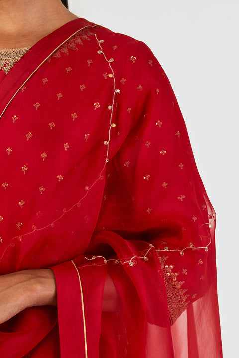 Akina Dupatta-Maroon