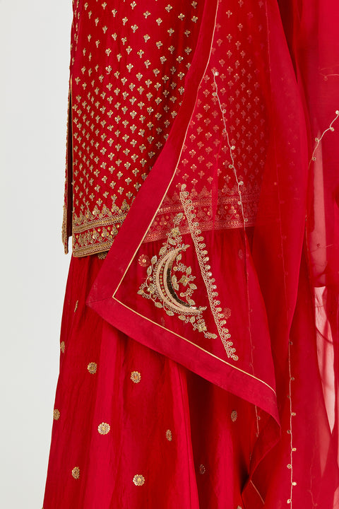 Akina Dupatta-Maroon
