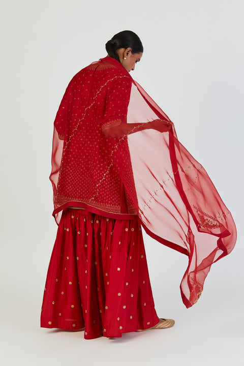 Akina Dupatta-Maroon