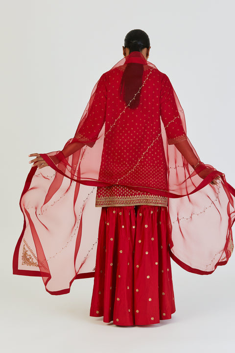 Akina Dupatta-Maroon