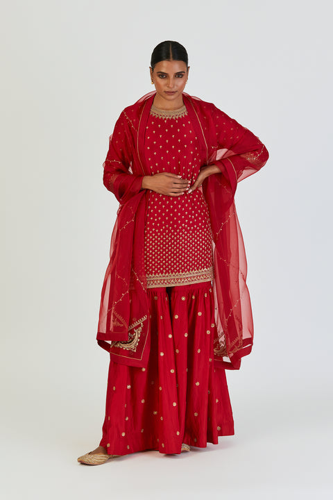 Akina Dupatta-Maroon