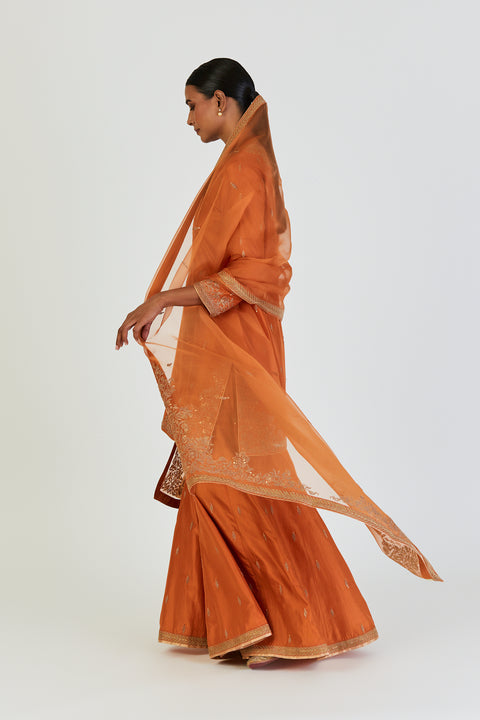 Nina Dupatta-Orange