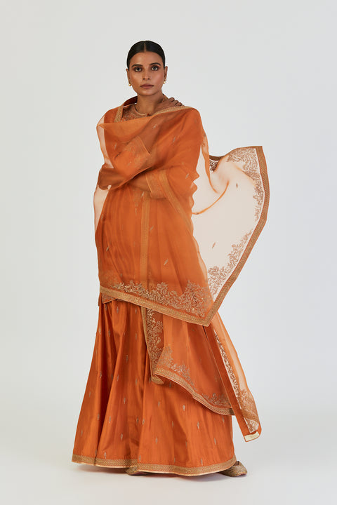 Nina Dupatta-Orange