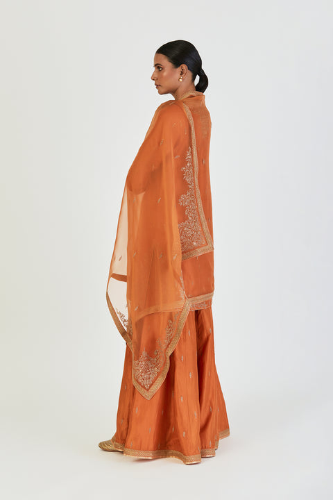Nina Dupatta-Orange