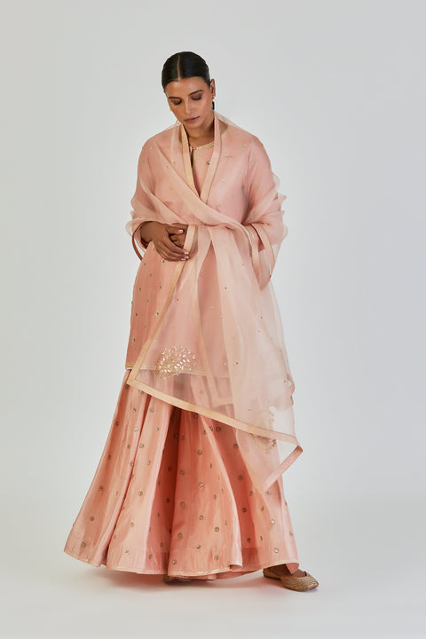 Mishana Kurta and Sharara-Salmon Pink