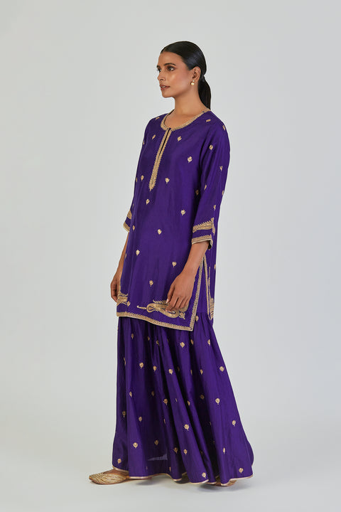 Adiya Kurta and Sharara-Blue