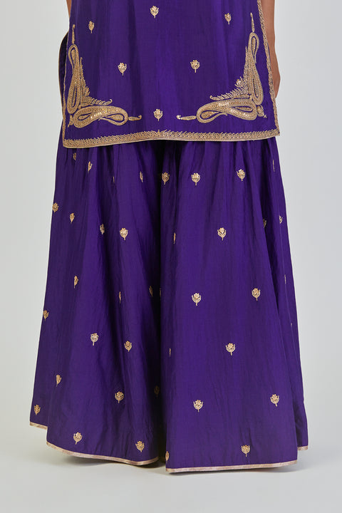 Adiya Kurta and Sharara-Blue