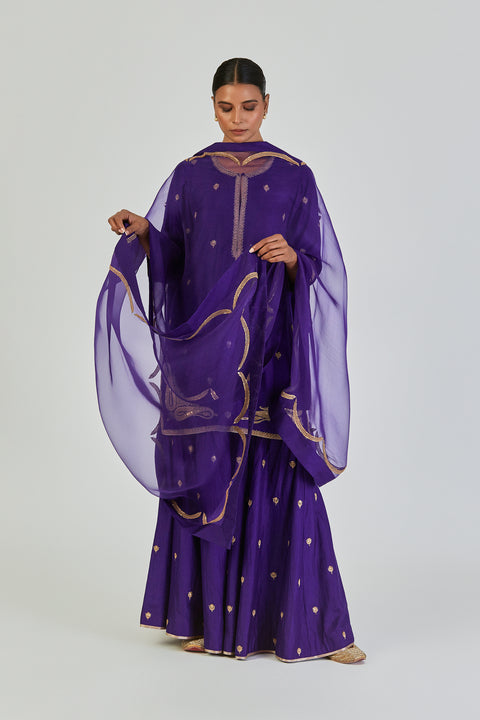 Adiya Kurta and Sharara-Blue