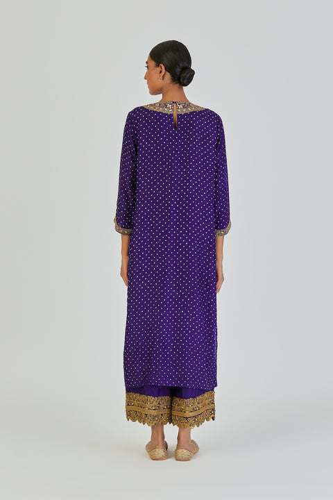 Disha Kurta and Pant-Purple