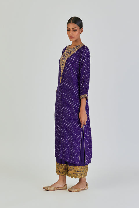 Disha Kurta and Pant-Purple