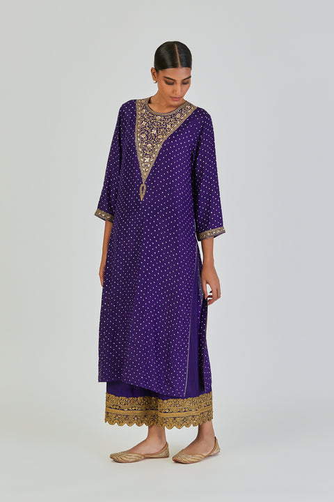 Disha Kurta and Pant-Purple