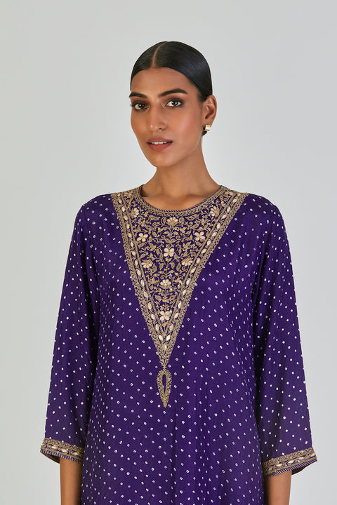 Disha Kurta and Pant-Purple