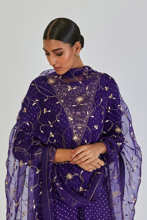 Meera Dupatta-Purple