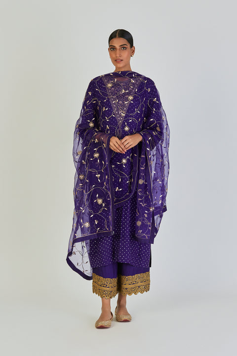 Disha Kurta and Pant-Purple