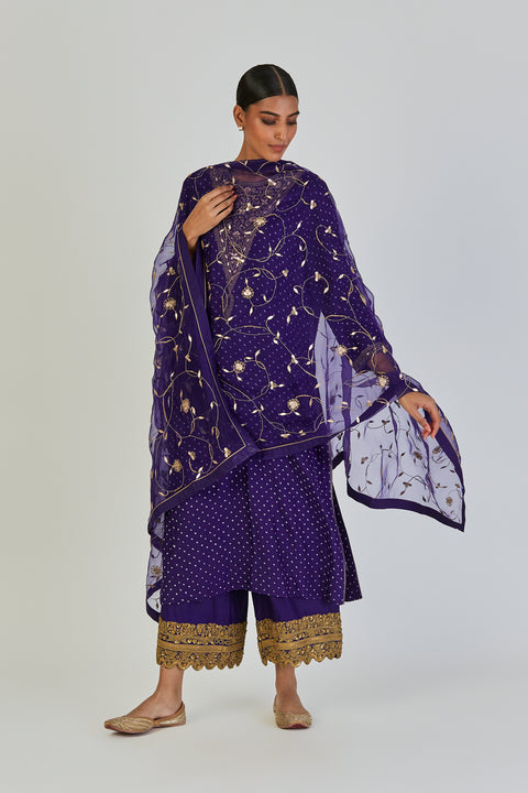 Meera Dupatta-Purple