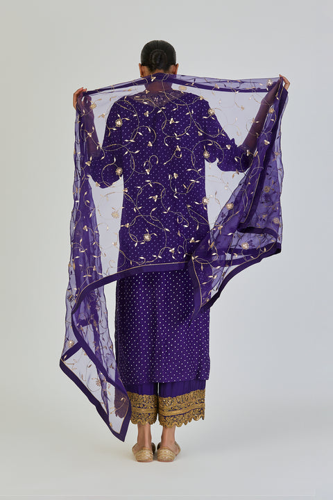 Meera Dupatta-Purple