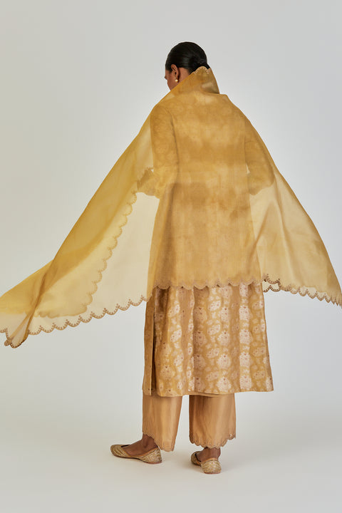 Naomi Dupatta-Yellow