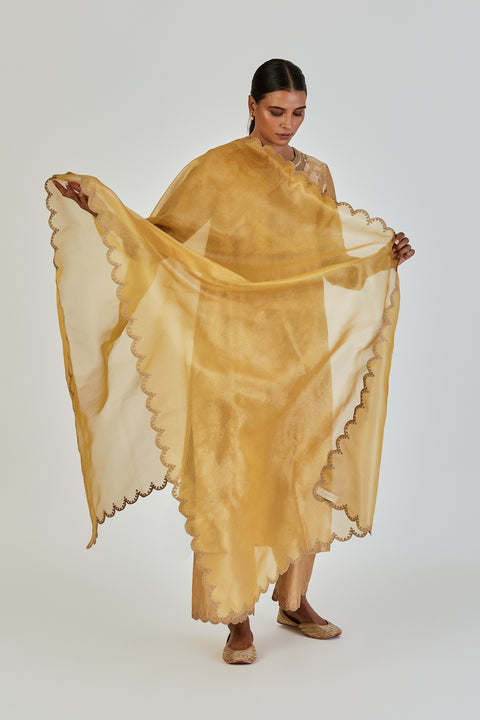 Naomi Dupatta-Yellow
