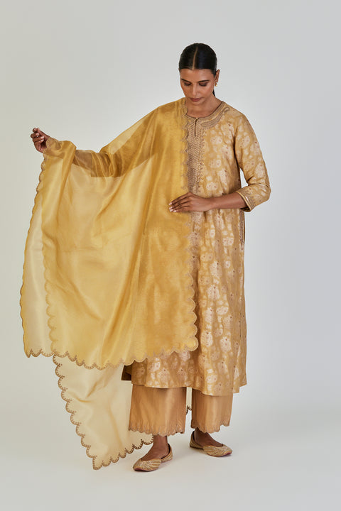 Naomi Dupatta-Yellow