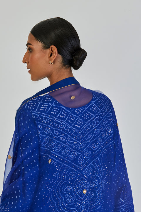 Padma Dupatta-Royal Blue