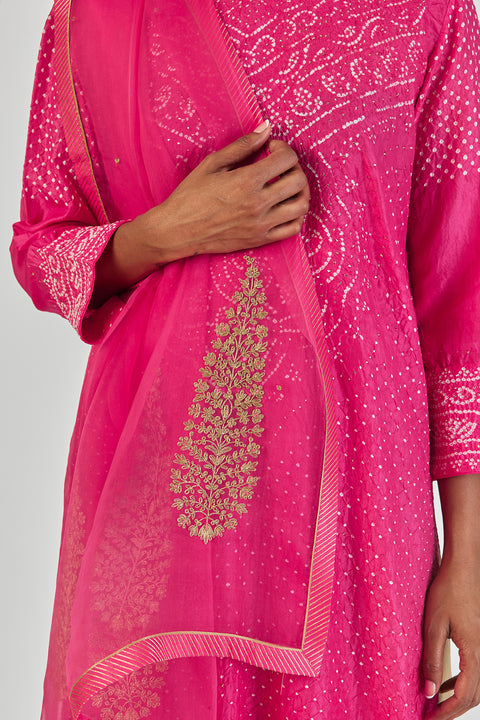 Shloka Dupatta-Fuschia Pink