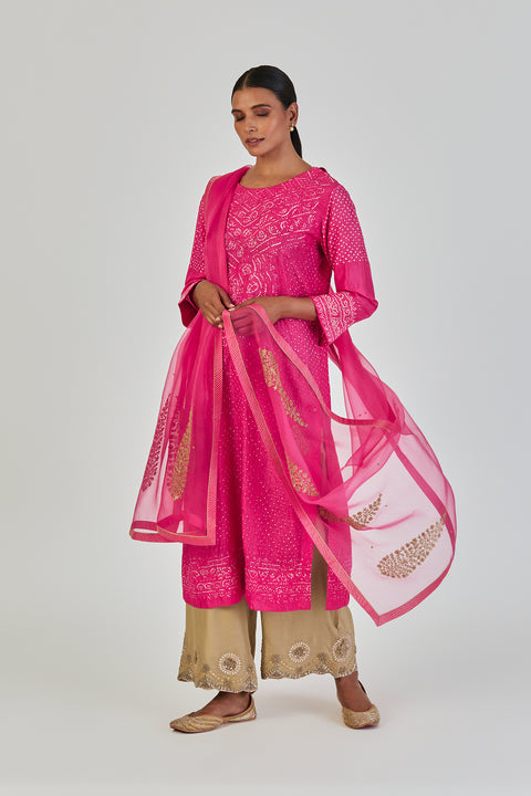 Shloka Dupatta-Fuschia Pink
