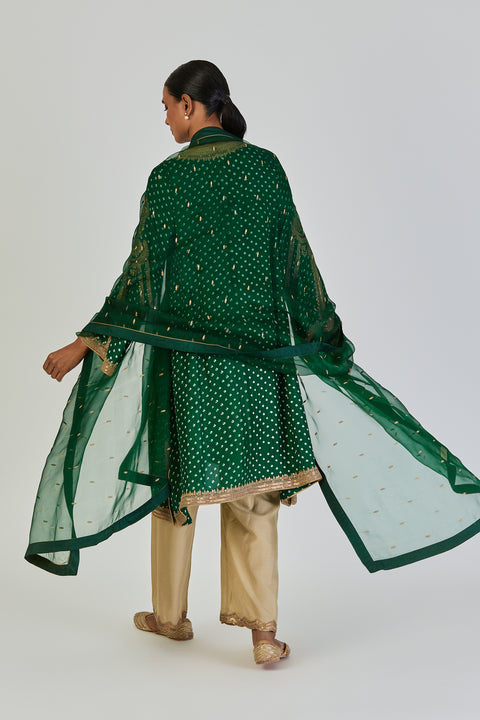 Divya Dupatta-Green