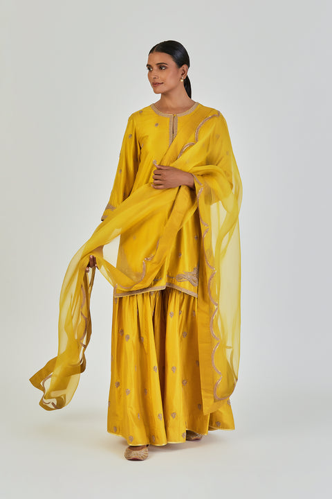 Adiya Kurta and Sharara-Lime Yellow