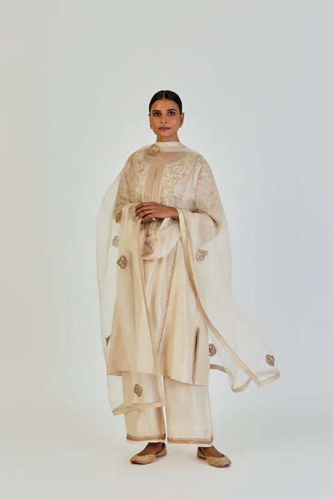 Ronak Kurta and Pant-Oats