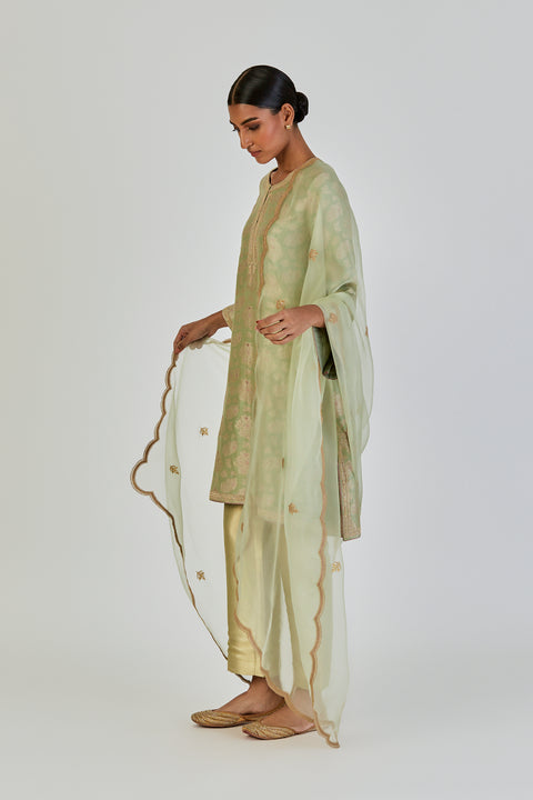 Vani Dupatta-Sea Green