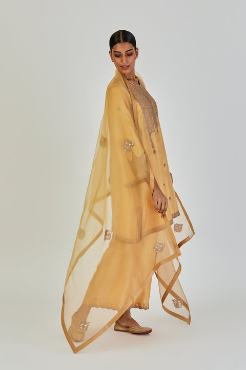 Shivani Dupatta-Yellow