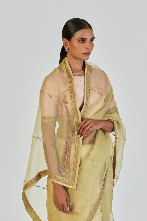 Mehak Saree-Sea Green