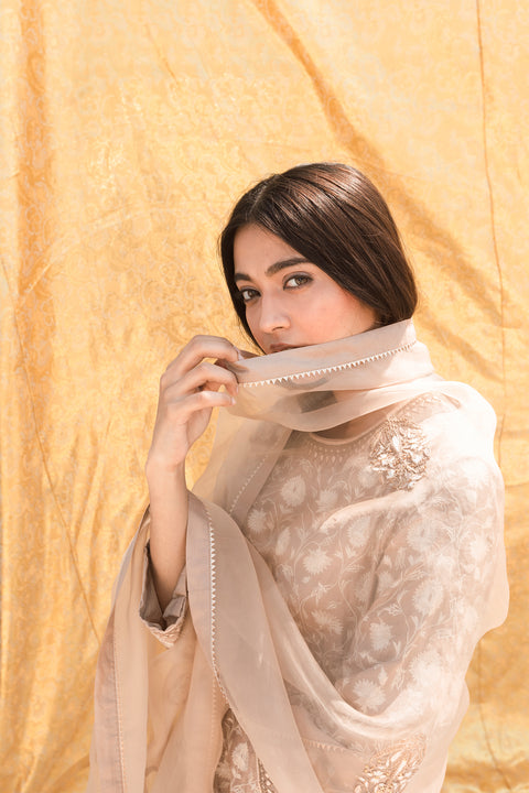Sonika Dupatta-Dark Beige