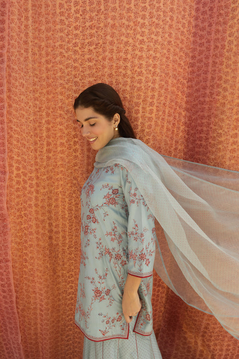 Varnika Dupatta-Blue