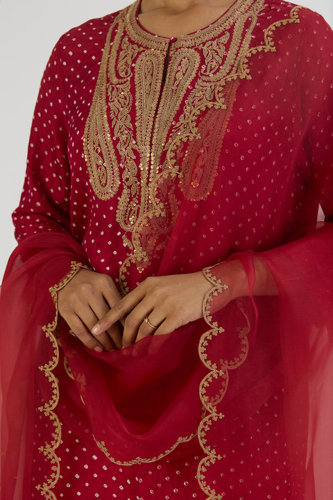 Dipty Dupatta - Red Bandhani